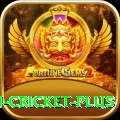 afghanistan cricket Slot Machine Mega