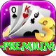 Casino App Pakistan PK Premium