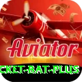 cricket bat Earn Legend v3.2.8