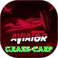 grass carp Pro Pakistan