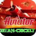 india pakistan cricket Premium PK v1.5.5