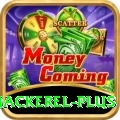 king mackerel Official v4.2.9