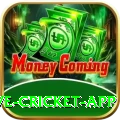 live cricket app - Slots Mega