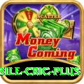 mobile cric King PK v1.2.3