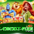 one cricket Slot Machine Turbo