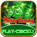 play cricket Cash Master
