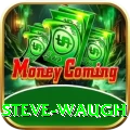 steve waugh Plus PK v4.8.1