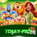 tojay Casino Official v4.8.3