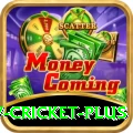 v cricket Master - Casino & Slots