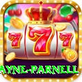 wayne parnell - Mega Earning App